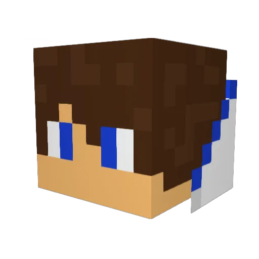 Earp13 Minecraft avatar head, 3D render