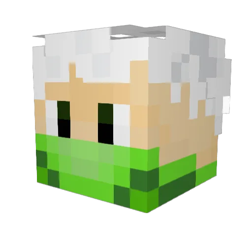 EarrthXXIV Minecraft avatar head, 3D render
