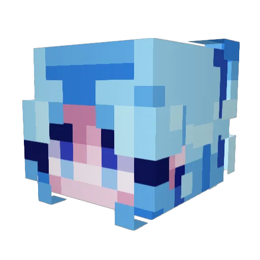 EarthBeetle2103 Minecraft avatar head, 3D render