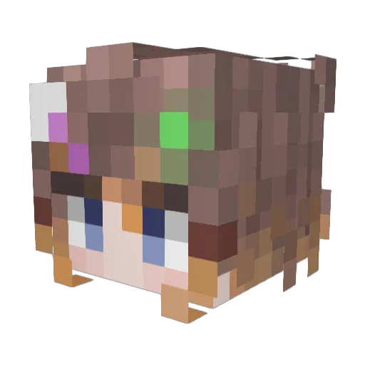 EarthCRW Minecraft avatar head, 3D render