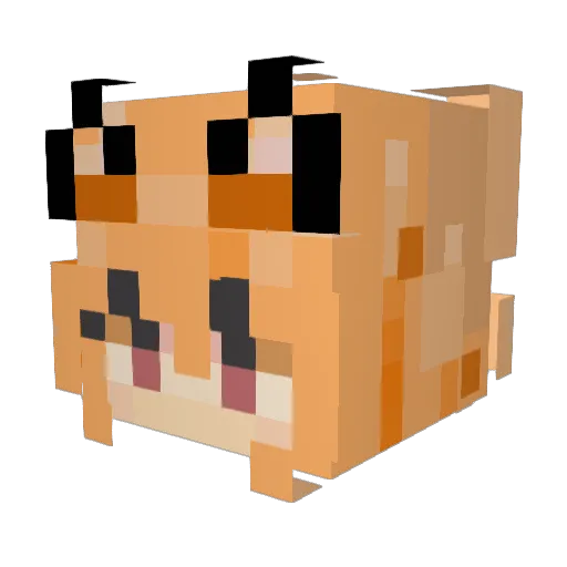 EarthLulu Minecraft avatar head, 3D render