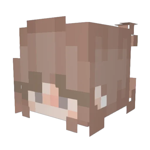 EarthNine Minecraft avatar head, 3D render