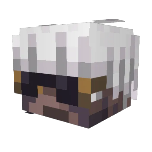 EarthPython21 Minecraft avatar head, 3D render