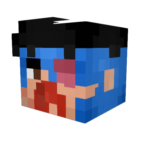 EarthRobin23455 Minecraft avatar head, 3D render