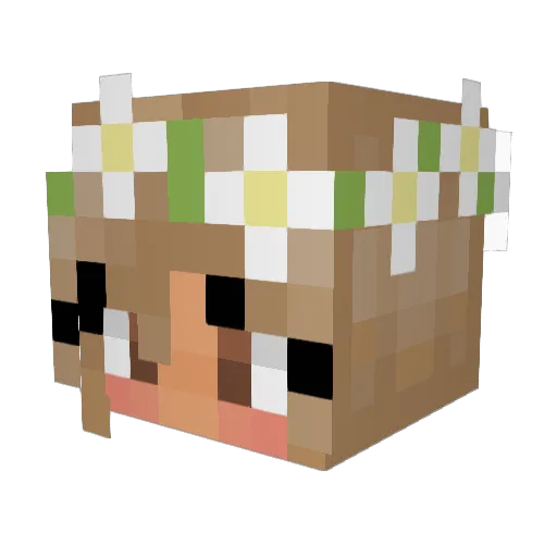 EarthToErin Minecraft avatar head, 3D render