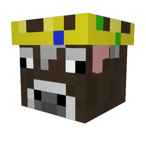 Earthbeetle5862 Minecraft avatar head, 3D render