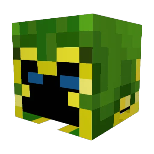 Earthbender_Kyra Minecraft avatar head, 3D render