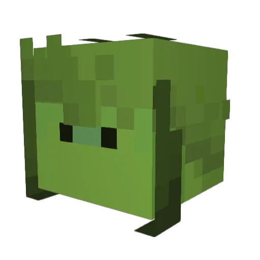 Earthly101 Minecraft avatar head, 3D render