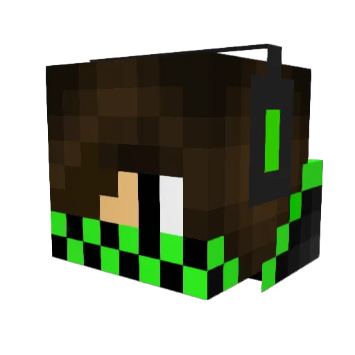 Earthmaster492 Minecraft avatar head, 3D render