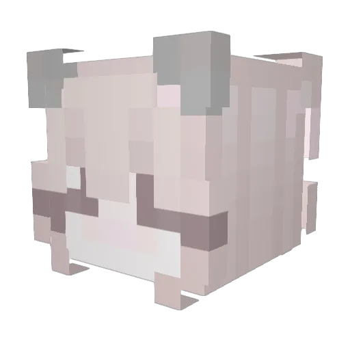 Earthnezy Minecraft avatar head, 3D render