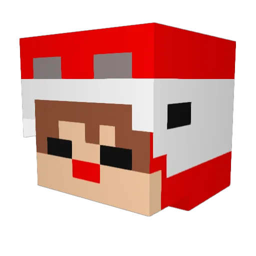 Earthreal_chanel Minecraft avatar head, 3D render
