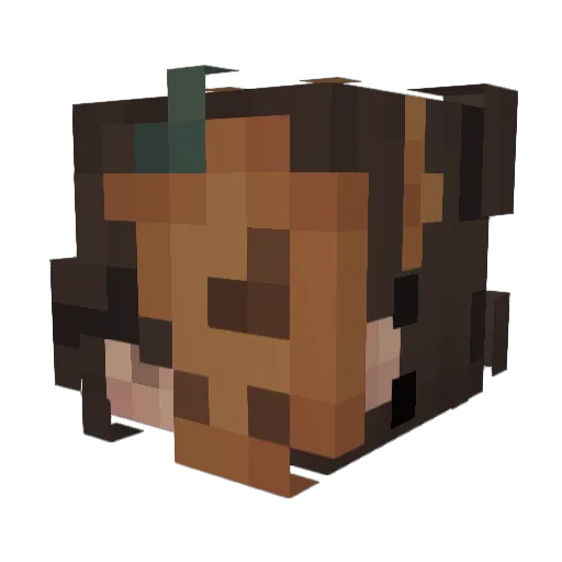 EarthtoEcho13 Minecraft avatar head, 3D render