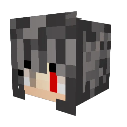 Earthworm848 Minecraft avatar head, 3D render