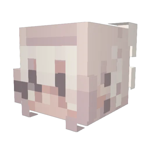 EasedSaturn8206 Minecraft avatar head, 3D render