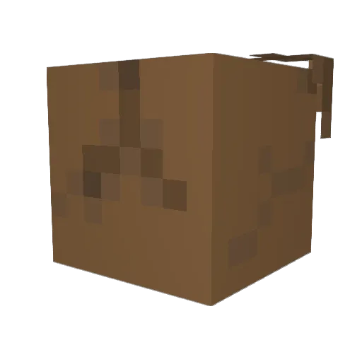 EasterWang Minecraft avatar head, 3D render
