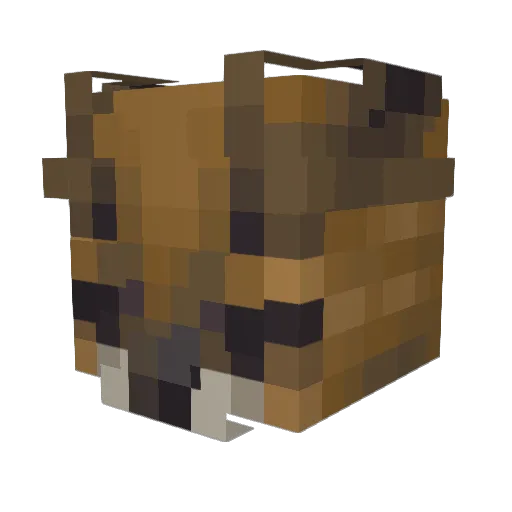 EasternOwl Minecraft avatar head, 3D render