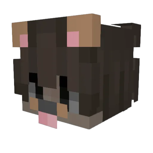 EasyBoostEnjoyer Minecraft avatar head, 3D render
