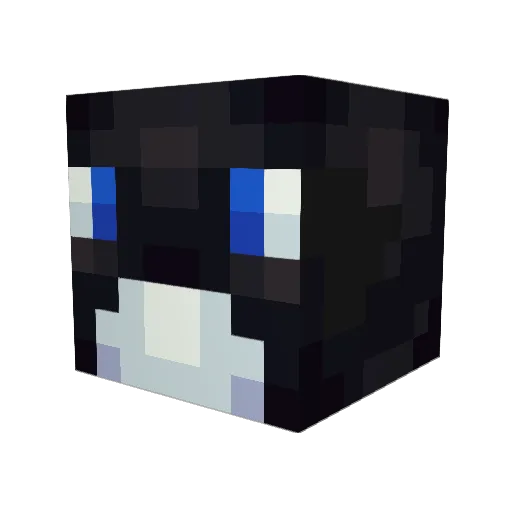 EasyPilot Minecraft avatar head, 3D render