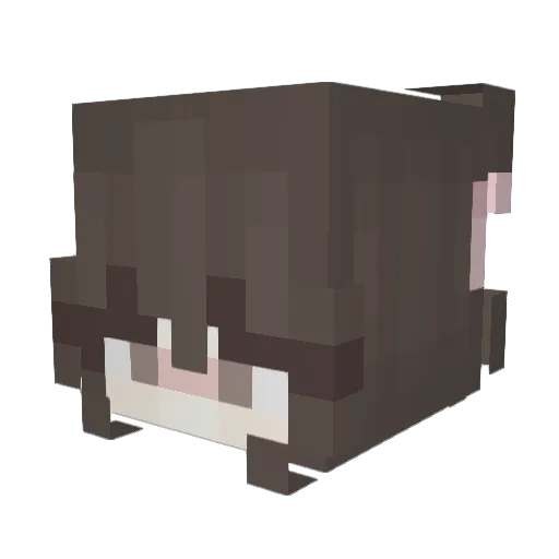 Eatfrosting Minecraft avatar head, 3D render
