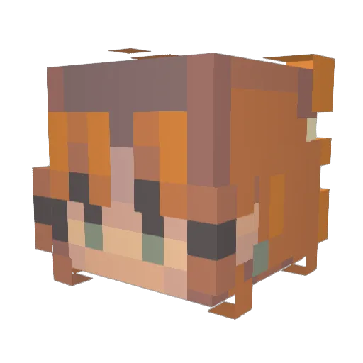 EatsY0urSnacks_ Minecraft avatar head, 3D render
