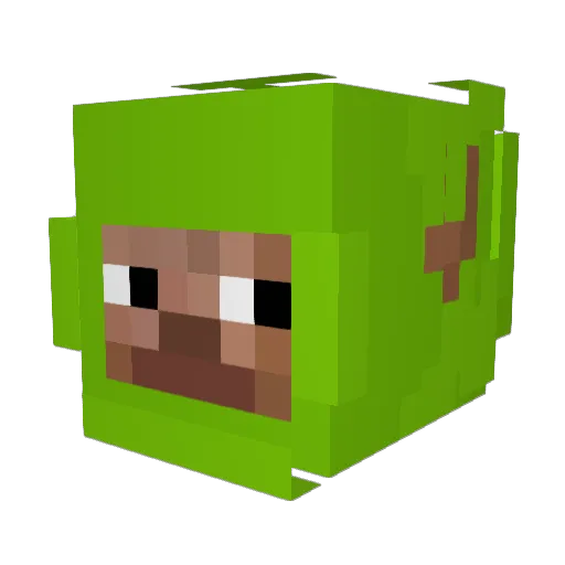 Eatwoods Minecraft avatar head, 3D render