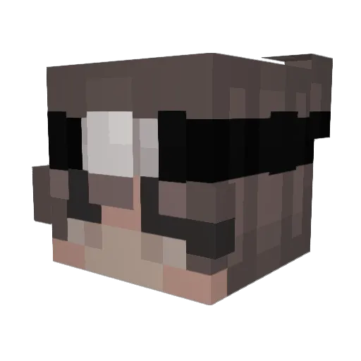Eauminetrale_ Minecraft avatar head, 3D render