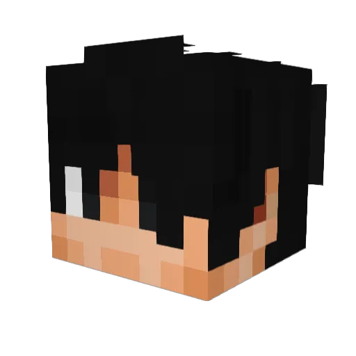 Eavs_ Minecraft avatar head, 3D render
