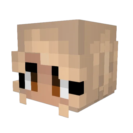EazyE444 Minecraft avatar head, 3D render