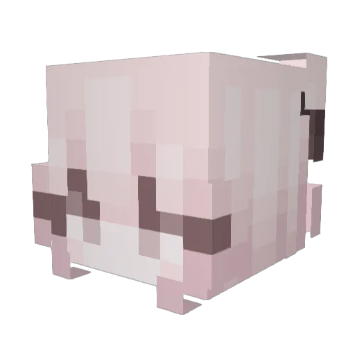 Ebapudim Minecraft avatar head, 3D render