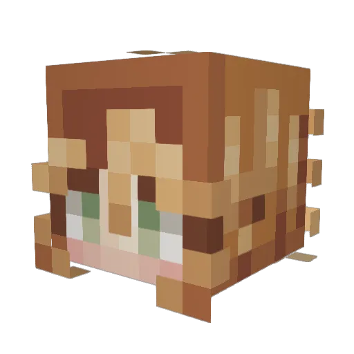 Ebarrett02 Minecraft avatar head, 3D render