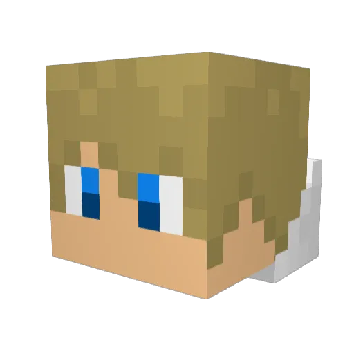 Ebat1234 Minecraft avatar head, 3D render