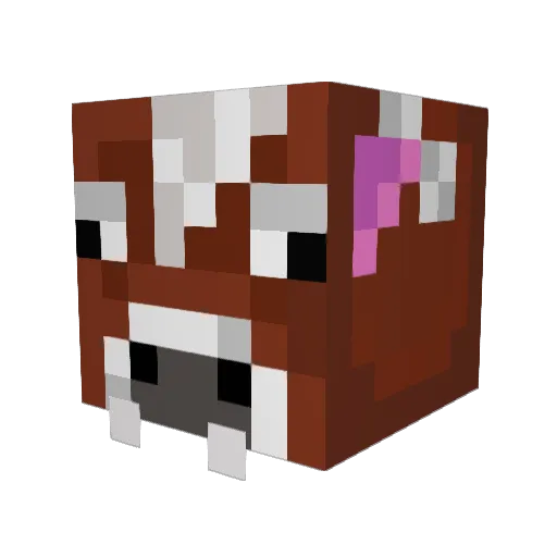 Ebe1 Minecraft avatar head, 3D render