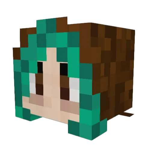 Ebeerweb Minecraft avatar head, 3D render