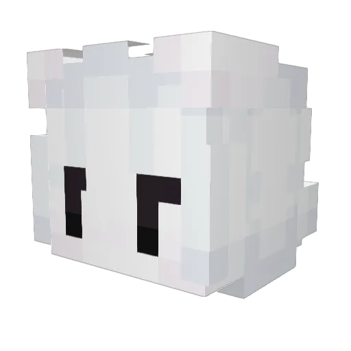 Ebelijn Minecraft avatar head, 3D render