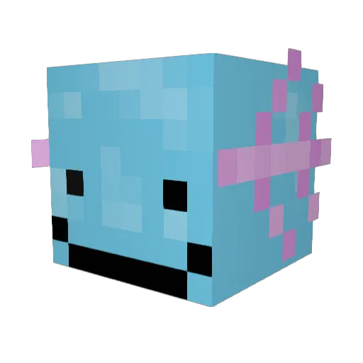 Ebeny Minecraft avatar head, 3D render
