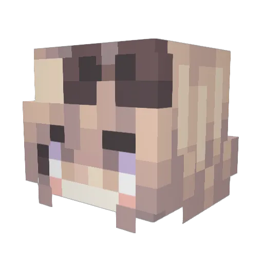 Ebi2Cute Minecraft avatar head, 3D render