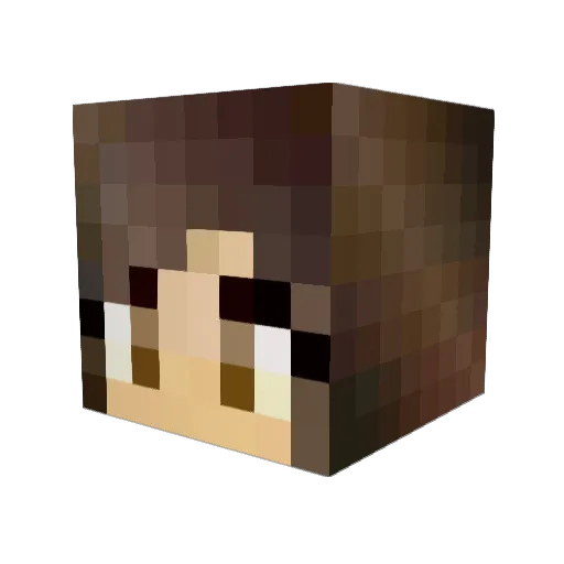 Ebiinnii Minecraft avatar head, 3D render