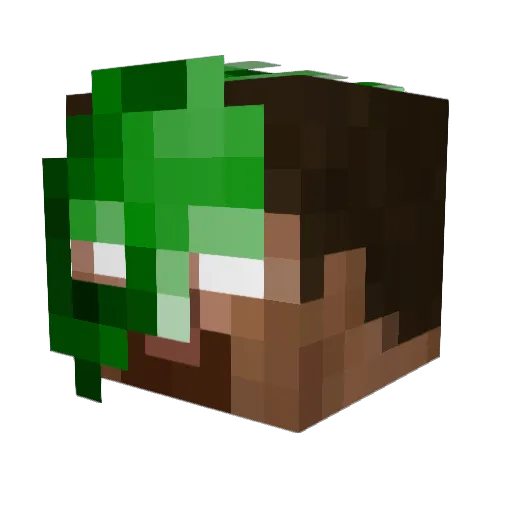 Ebone200 Minecraft avatar head, 3D render