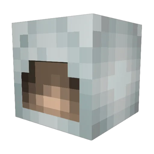 EbonyFirefly Minecraft avatar head, 3D render