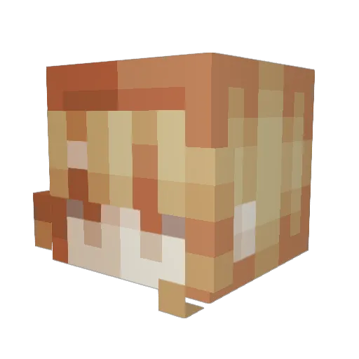 Ebony_Darkness_ Minecraft avatar head, 3D render