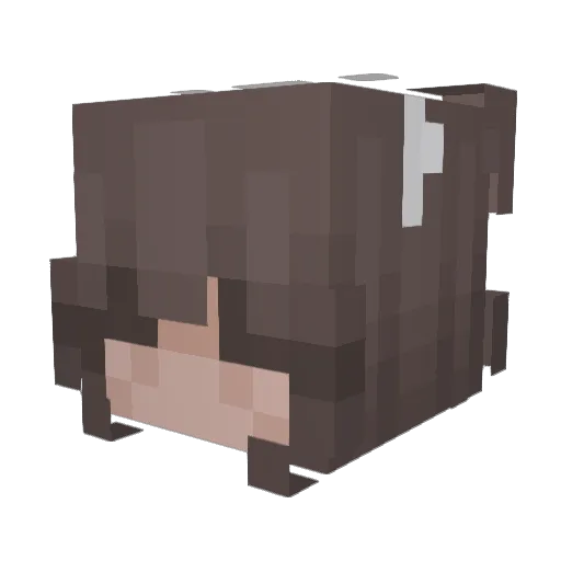 EbrarNaime Minecraft avatar head, 3D render