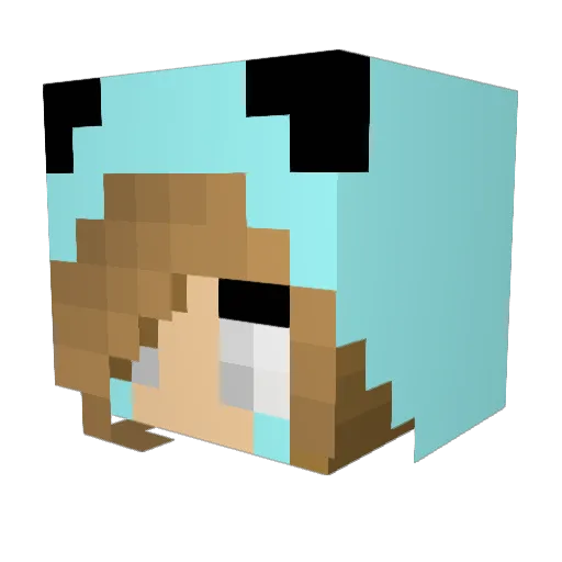 Eca2k Minecraft avatar head, 3D render