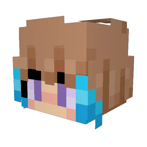 Ecb23 Minecraft avatar head, 3D render