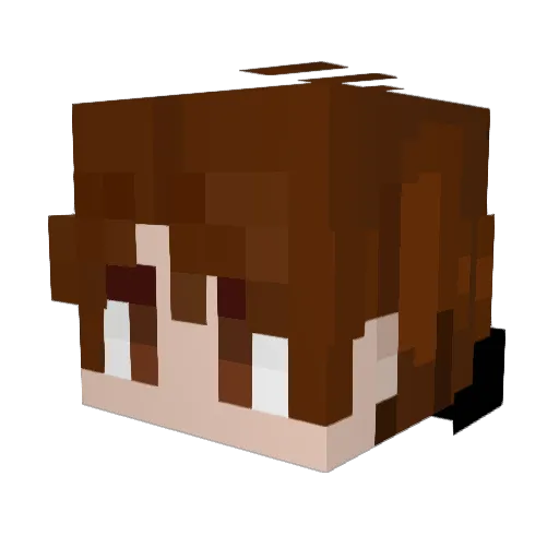 Ecbox Minecraft avatar head, 3D render