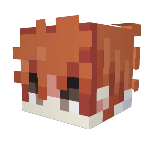 Eccentric_Lem Minecraft avatar head, 3D render