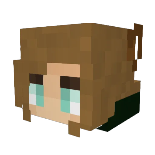 Ecco0123 Minecraft avatar head, 3D render