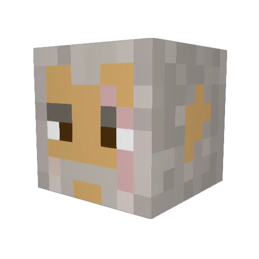 Ecfaris_S Minecraft avatar head, 3D render