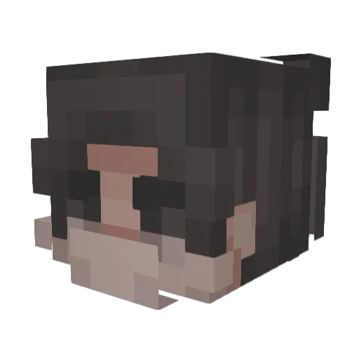 Ech0ingV0ices Minecraft avatar head, 3D render
