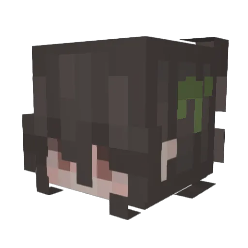 Ech1t Minecraft avatar head, 3D render