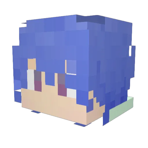 Echat_ Minecraft avatar head, 3D render